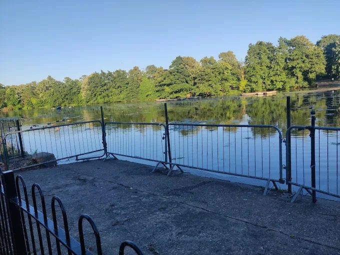 View across the lake from the water's edge